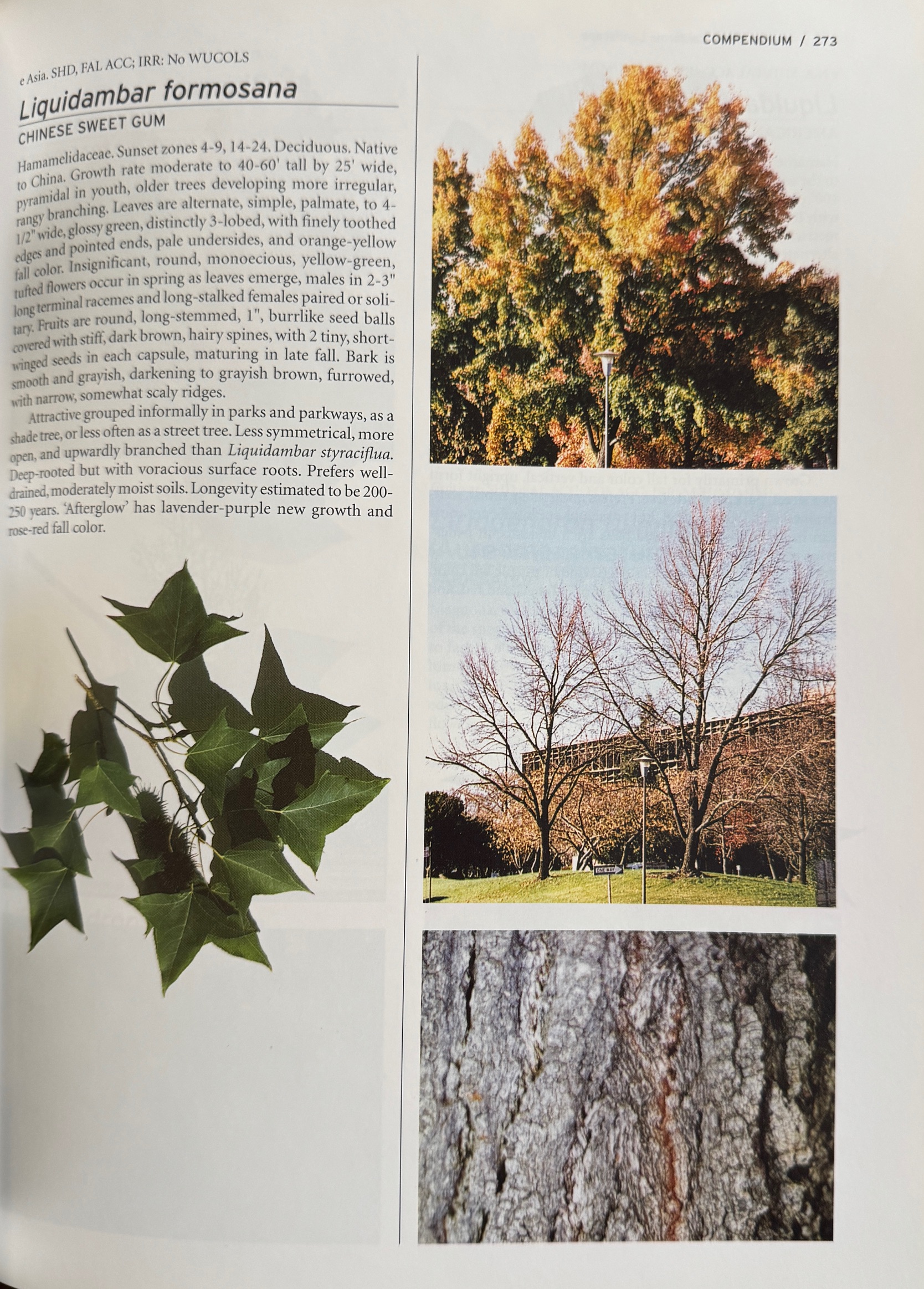 Trees of the California Landscape: A Photographic Manual of Native and ...
