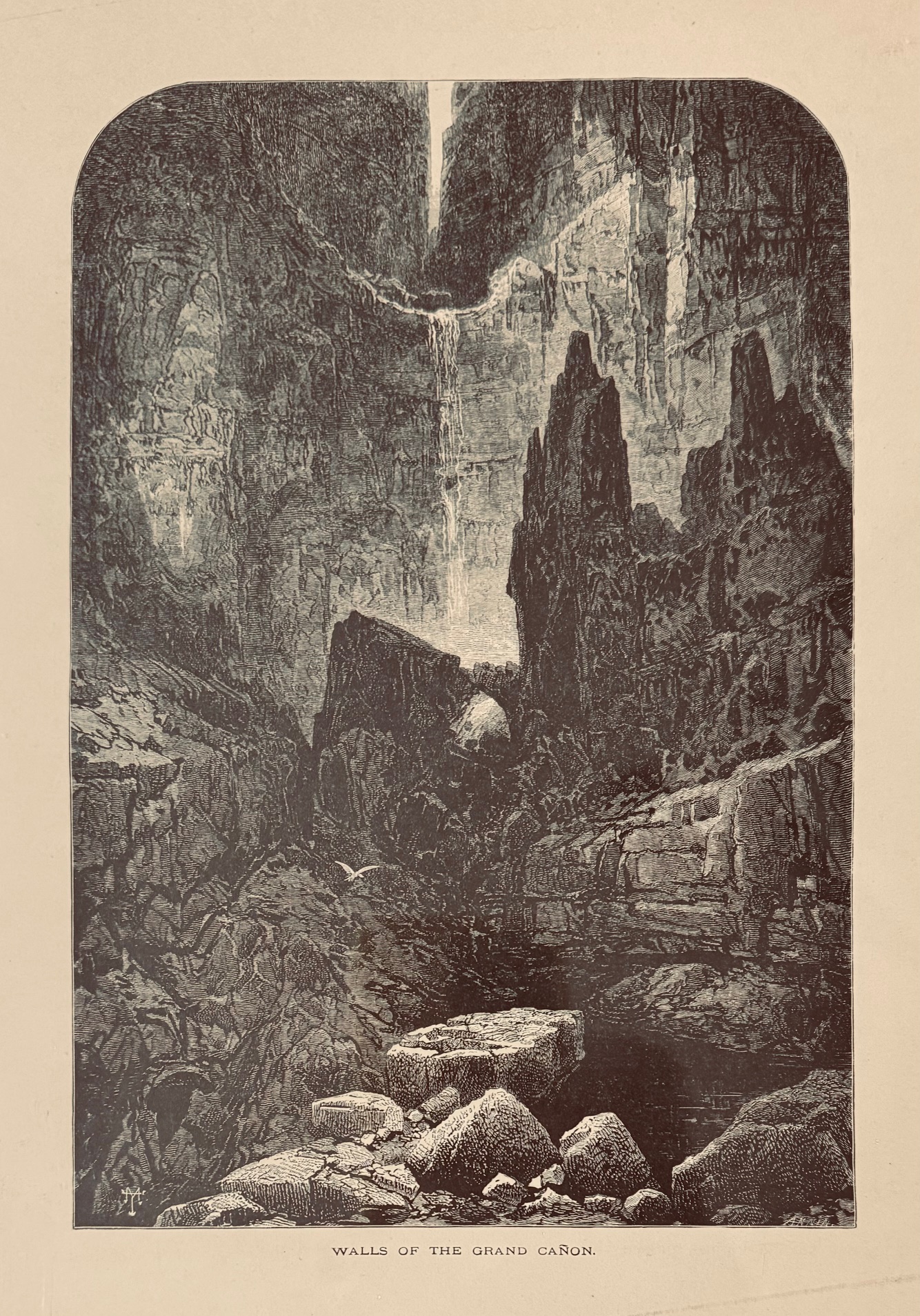 Walls of the Grand Caon [Canyon]