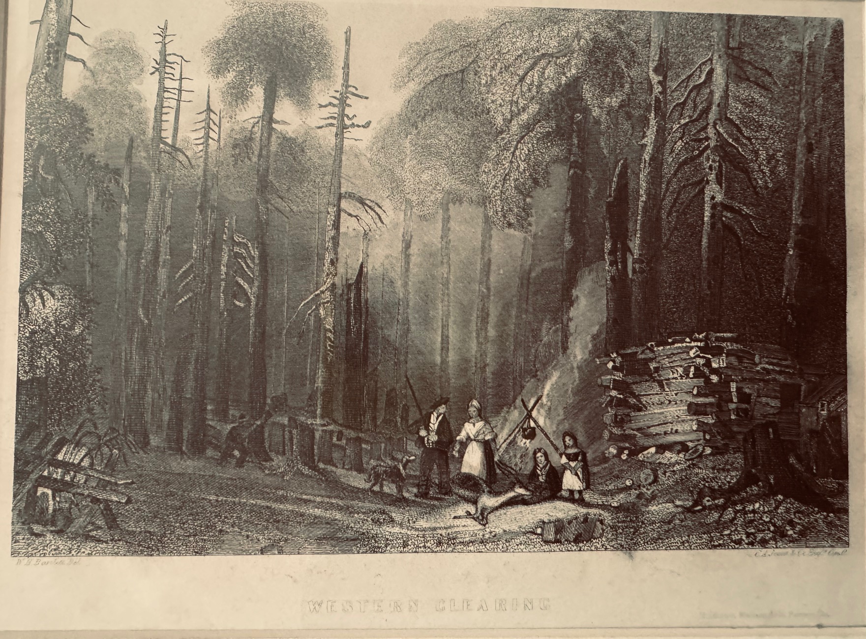 Western Clearing [Steel Engraving]