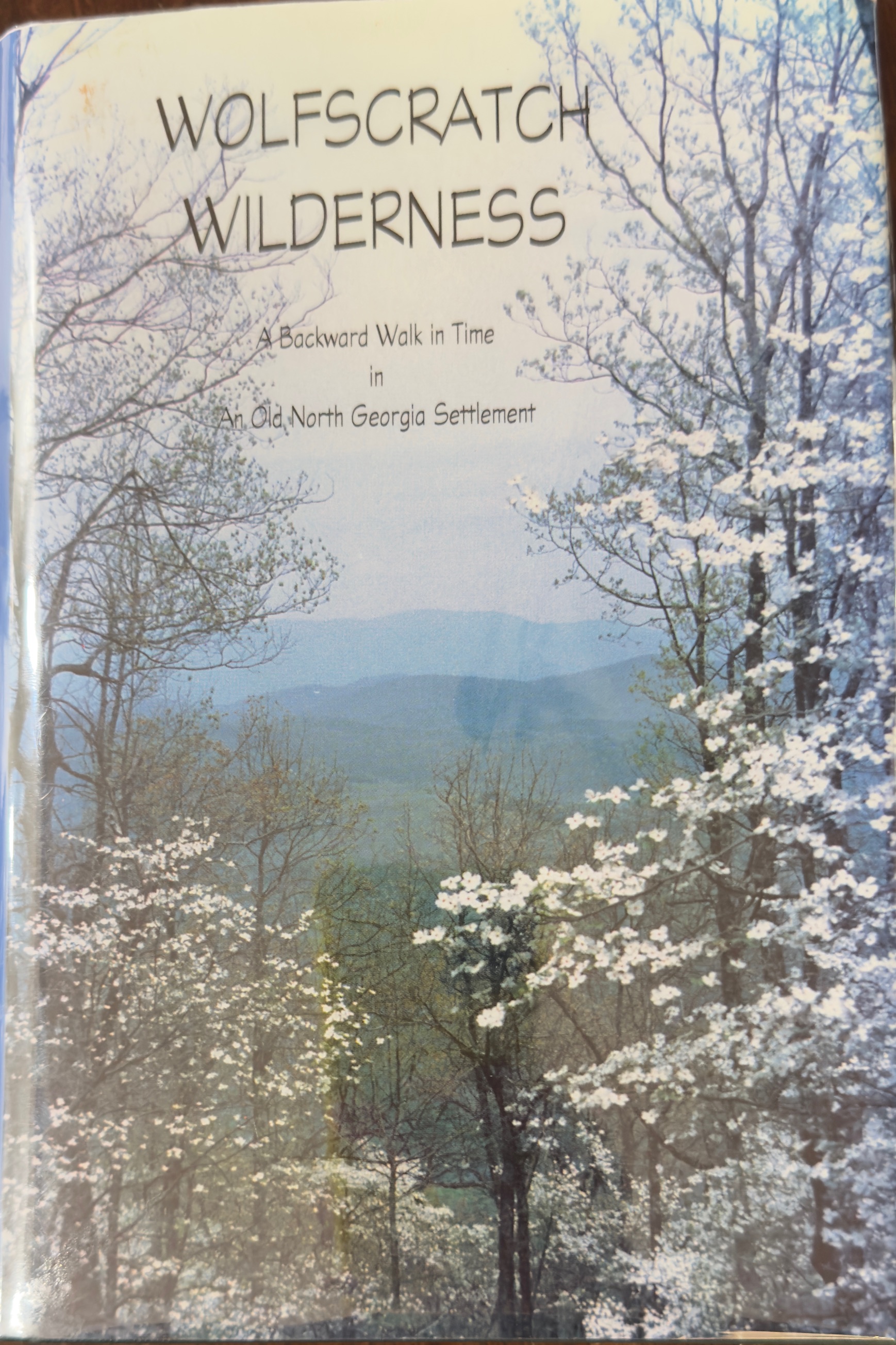 Wolfscratch Wilderness: A Backward Walk in Time in an Old North Georgia Settlement