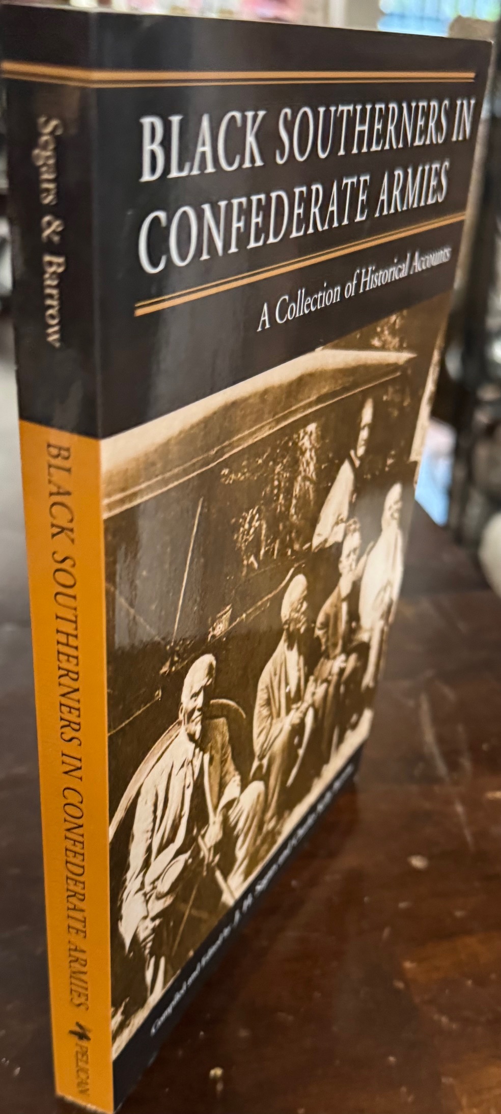 Black Southerners in Confederate Armies: A Collection of Historical Accounts