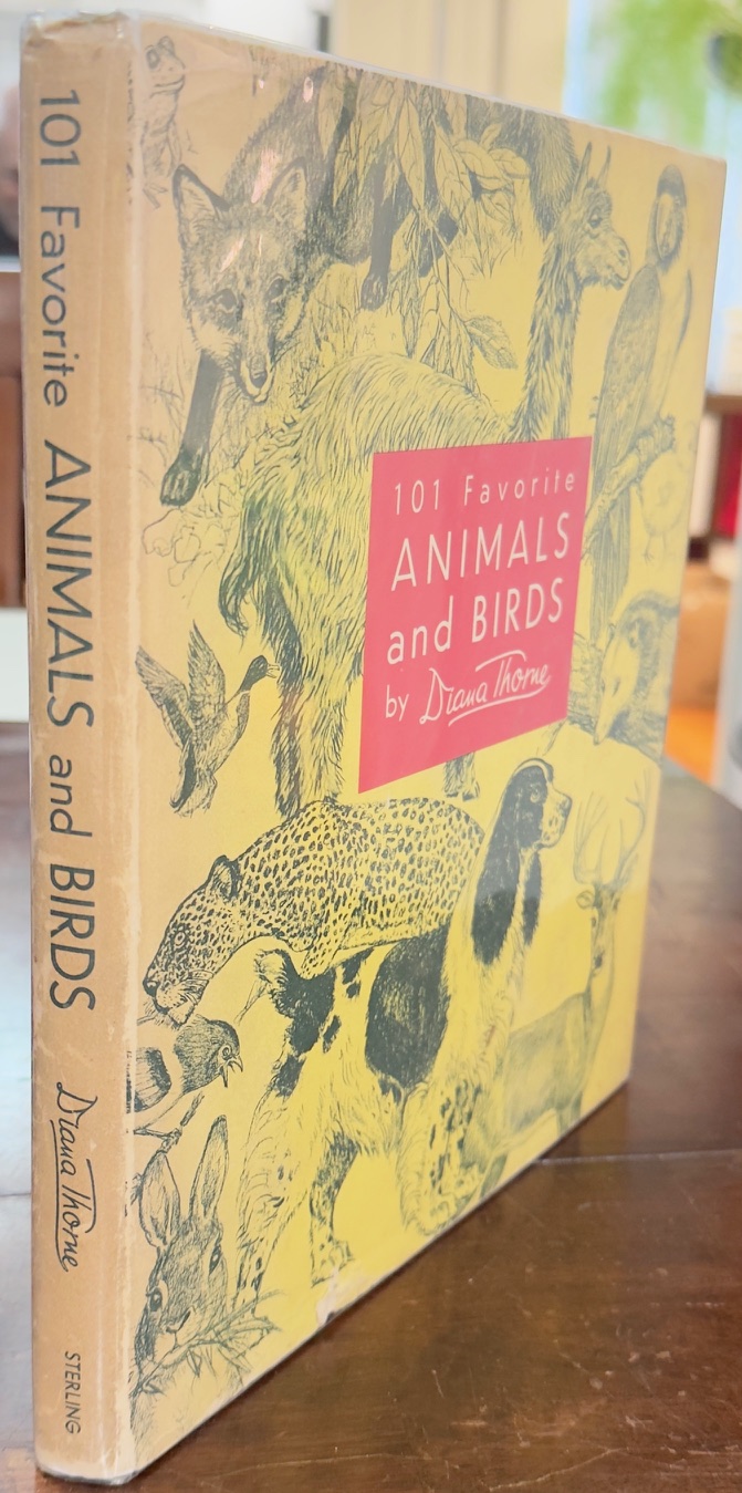 Image for 101 Favorite Animals and Birds 101 Favorite Animals and Birds