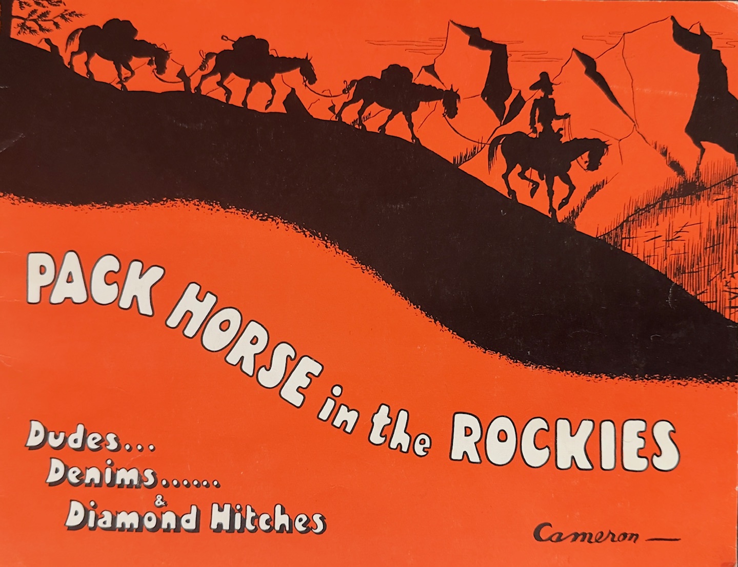 Pack Horse in the Rockies: Dudes. Denims. & Diamond Hitches